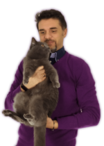immagine persona con maglione viola che tiene in braccio gatta razza certosina